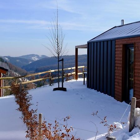 Willa Uplandparcs Winterberg Zewnętrze zdjęcie