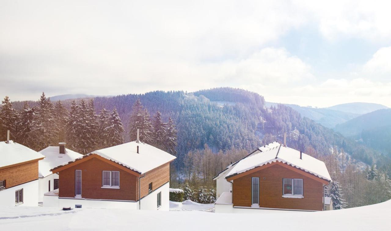 Willa Uplandparcs Winterberg Zewnętrze zdjęcie