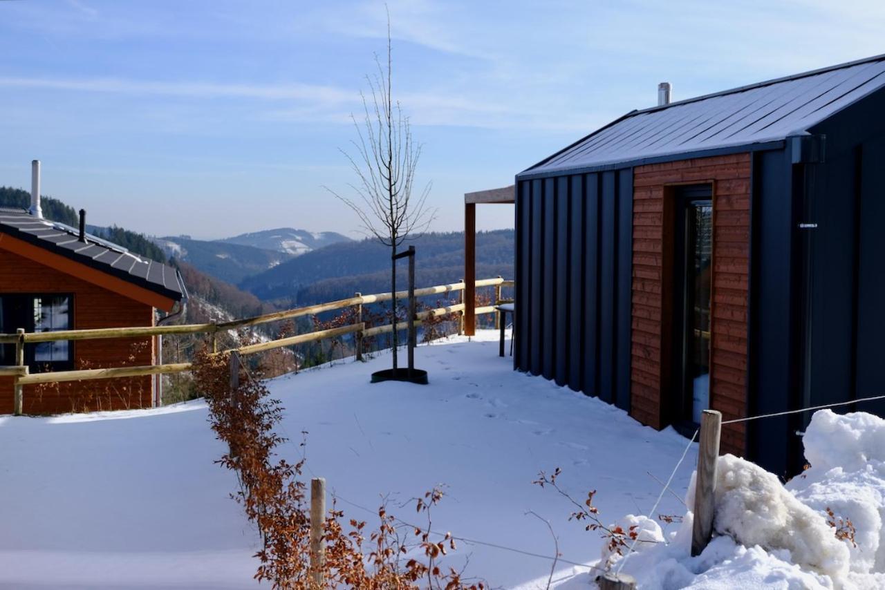 Willa Uplandparcs Winterberg Zewnętrze zdjęcie